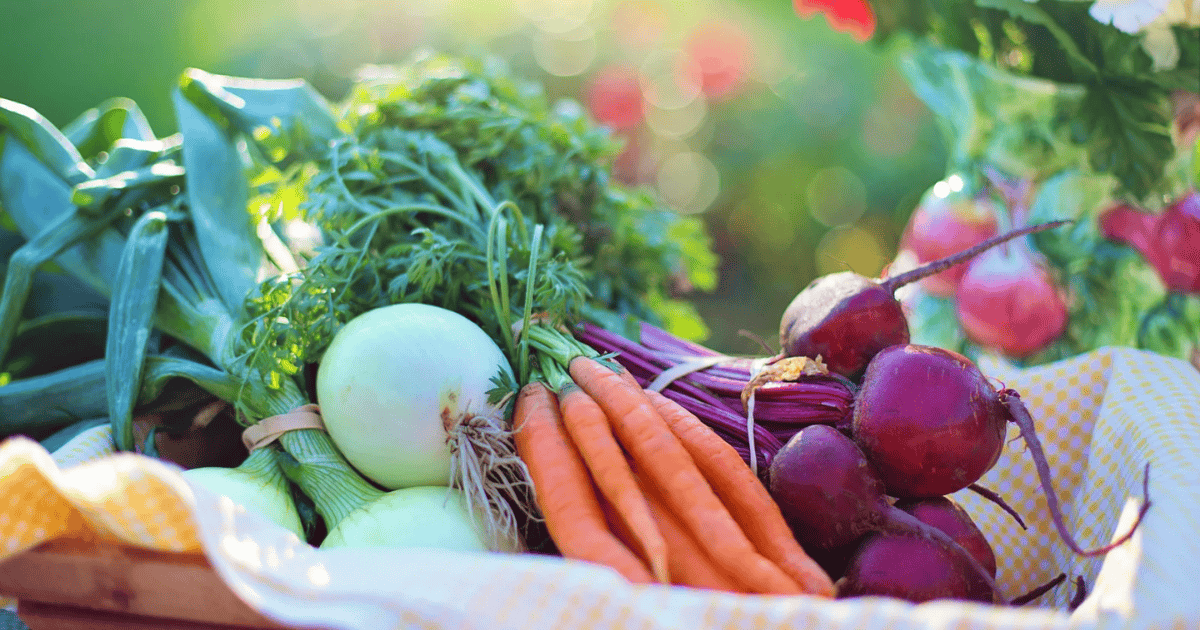 A basket filled with fresh vegetables, including carrots, beets, onions, and leafy greens, sits outdoors on a sunny day with a blurred garden background—an inviting way to boost your veggie intake.