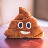 Poo Plush - smiling - gut health dietitian nutritionist - IN GOOD NUTRITION
