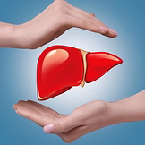A healthy liver, In gooD Nutrition