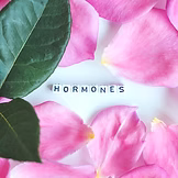 Hormones spelt out in letters